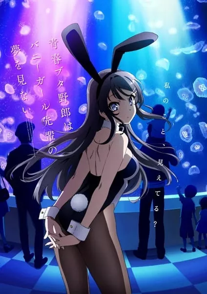 Seishun Buta Yarou wa Bunny Girl Senpai no Yume wo Minai - Anizm.TV